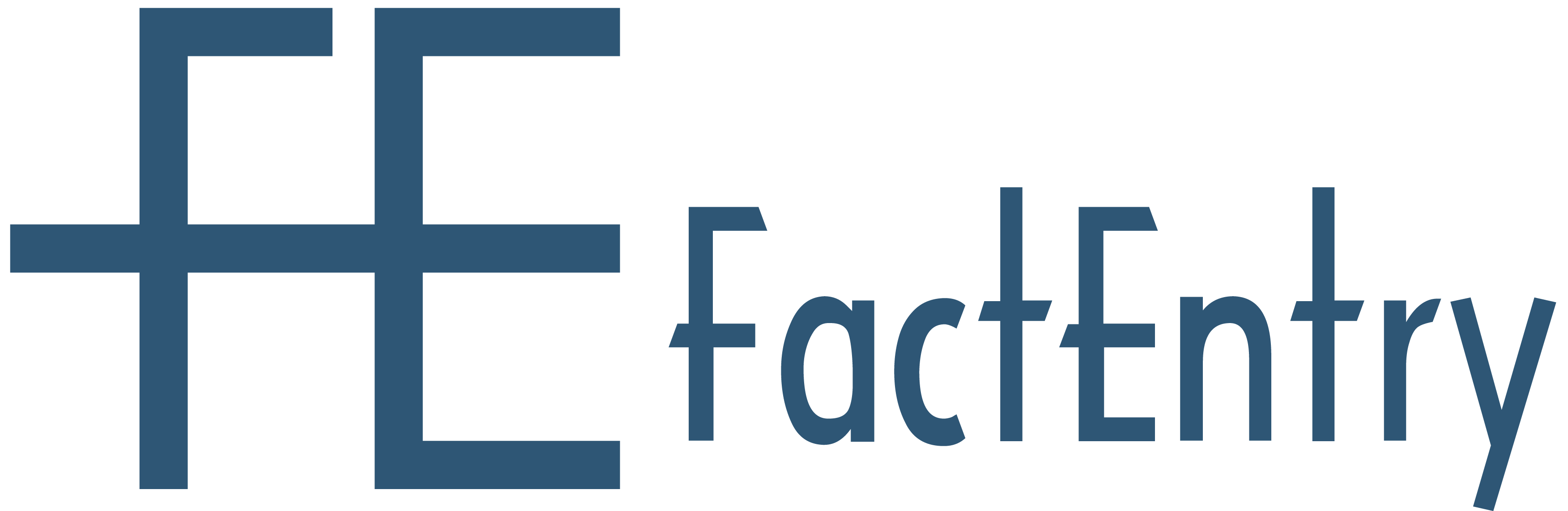 FactEntry Logo