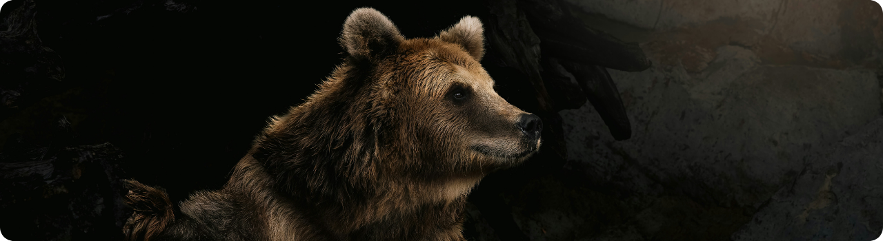 A brown bear emerges from a dark cave — an image accompanying an article on new bearish leveraged ETF listings.