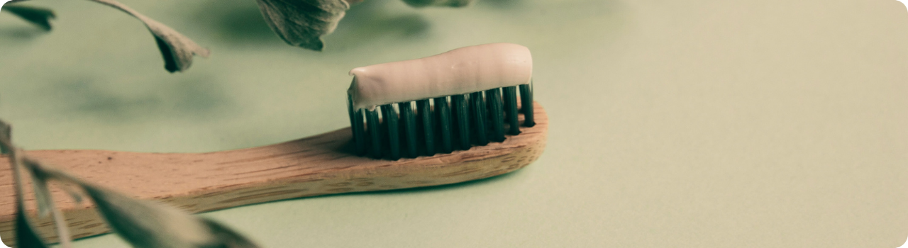 Bamboo toothbrush loaded with white toothpaste, resting on a pale green surface beside dried leaves